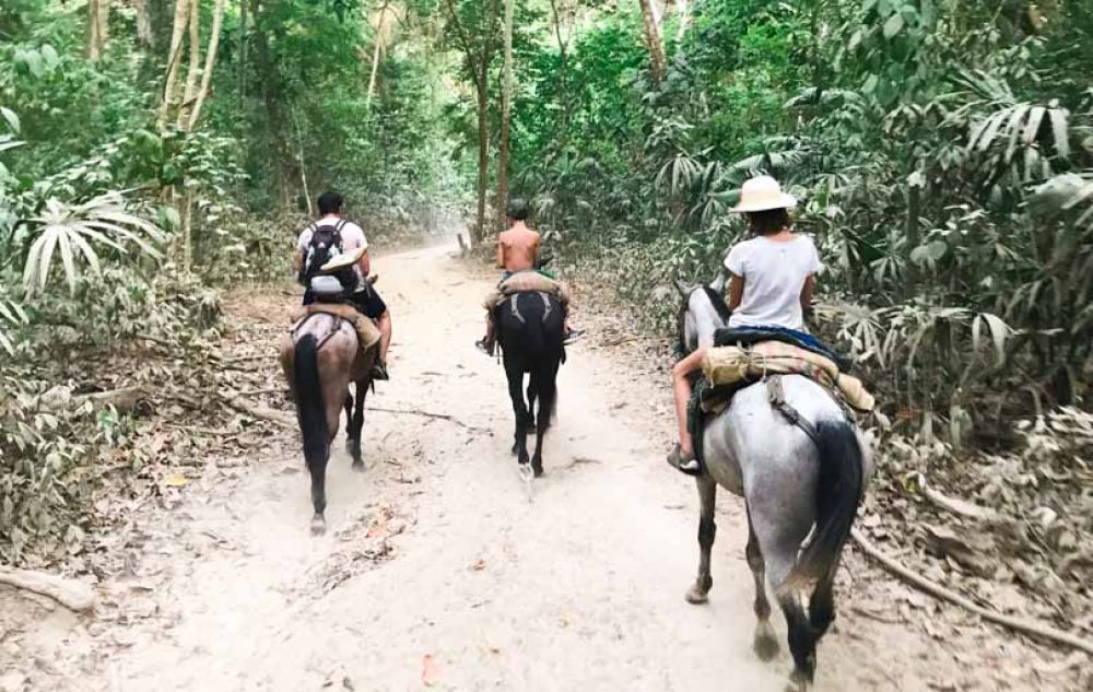 parc tayrona